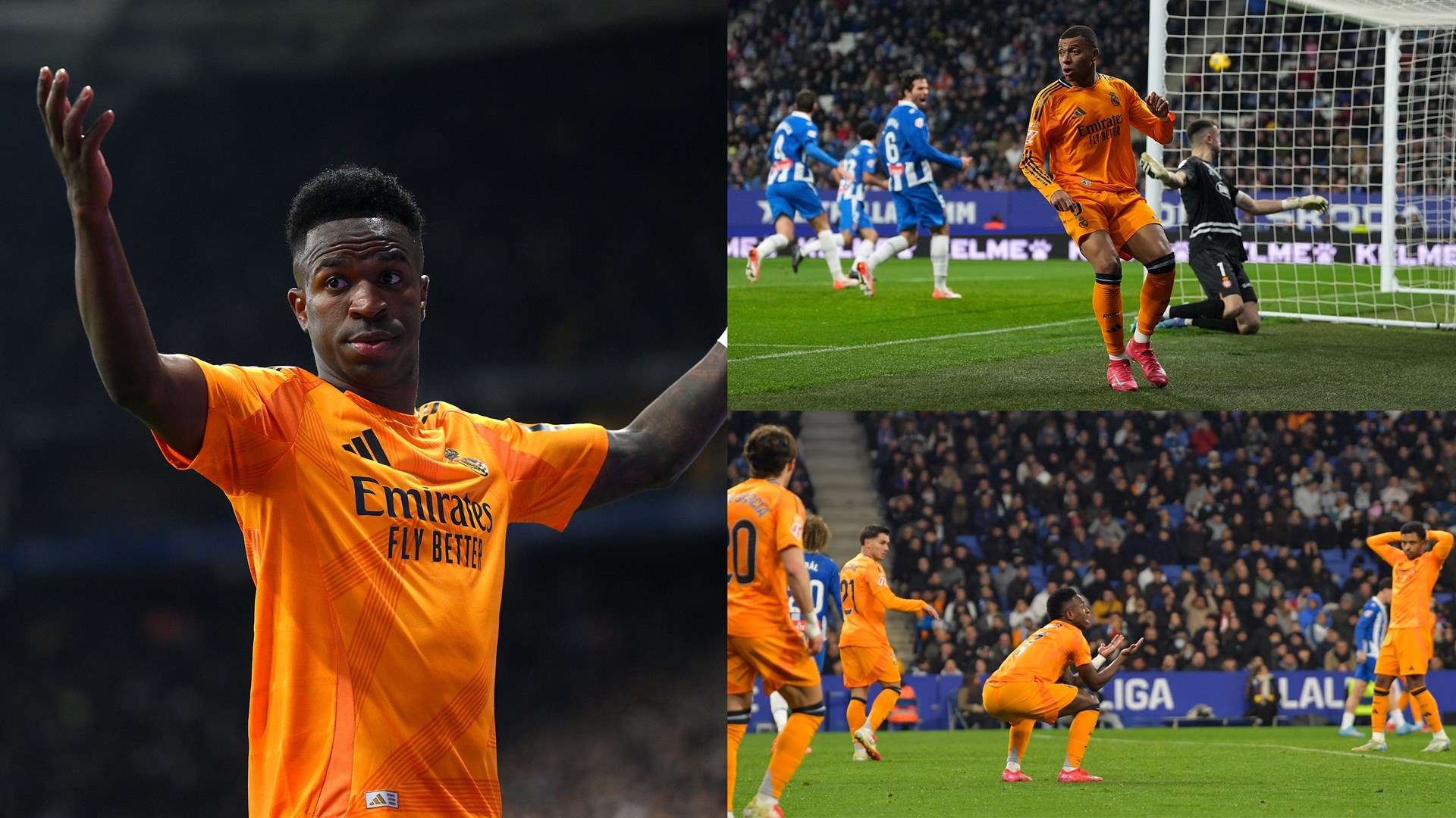 球迷的反应 球迷的反应